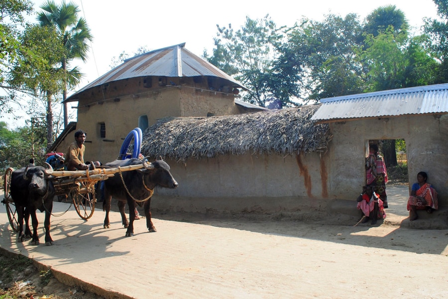 A man rides a bullock cart past Santhal tribal women in a village where a woman was gang raped