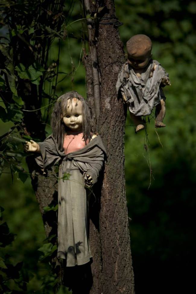 Welcome to Island of the Dolls – creepy shrine to girl now a grim tourist trap