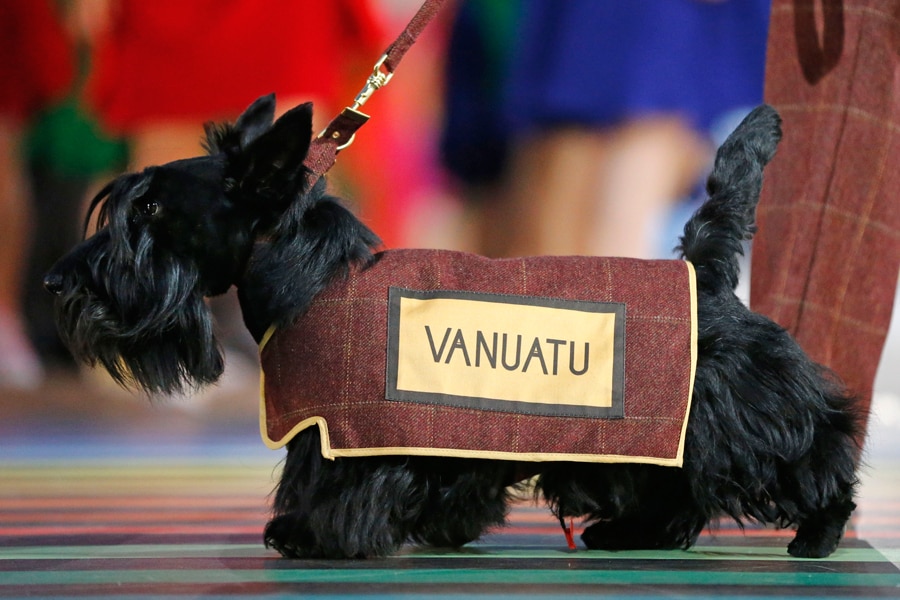A Scottish Terrier wearing a vest with the team name of Vanuatu is led around the arena ahead of the team during the opening ceremony