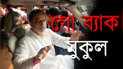 দলই বলছে, 'গো ব্যাক' মুকুল
