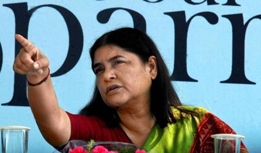  পরিষ্কার, পরিচ্ছন্নতা বজায় রাখতে ফিনাইলের পরিবর্তে গোমূত্র ব্যবহারের পরামর্শ মেনকা গান্ধীর