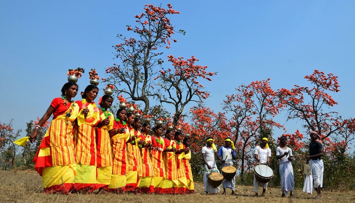 মহুয়ার নেশা, ধামসা, মাদলে বাহা উত্সবে মাতল বাঁকুড়া 