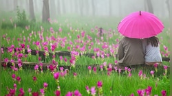 শুধু লেখা নয়, বৃষ্টির রাতে শুনুন এক অন্য FM