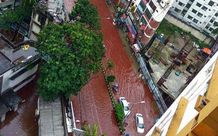 কুরবানির ইদের পর বাংলাদেশের রাস্তায় লাল জলের স্রোত! 