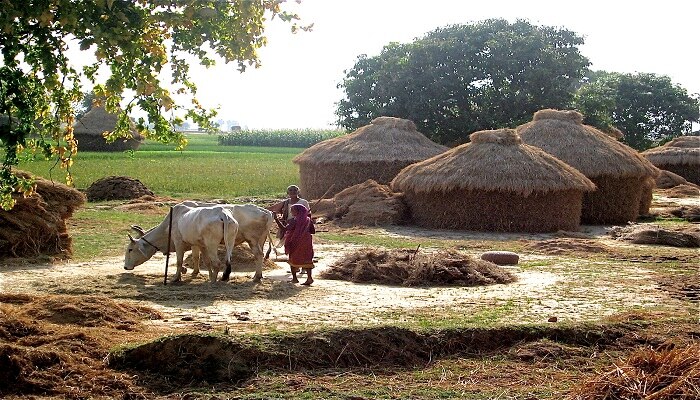 নির্মল জেলার বাস্তব ছবিটা বড়ই লজ্জার!