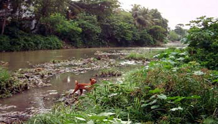 নবরূপে বাঁকানদী