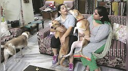হৃদরোগ প্রতিরোধ করতে, বহুদিন বেঁচে থাকতে সাহায্য করে কুকুর: সমীক্ষা