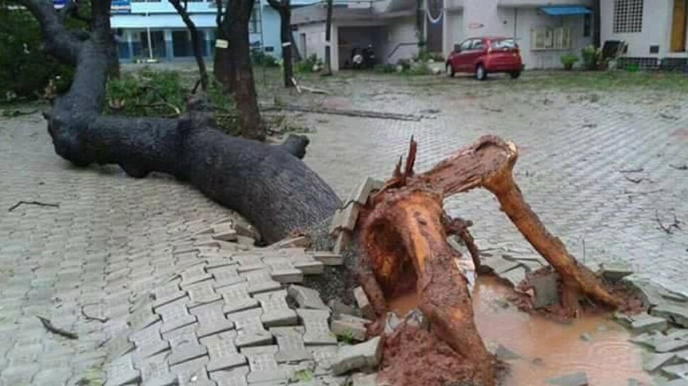 দাপট দেখাচ্ছে অক্ষি, ঘূর্ণিঝড় প্রাণ কাড়ল ৮ জনের 