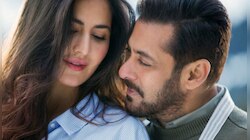 প্রাক্তন ক্যাটকে কি ফের একবার 'দিল' দিয়ে ফেললেন সল্লু!