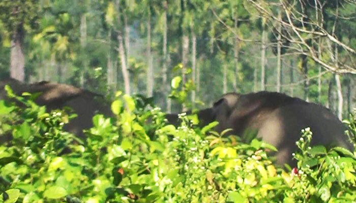 ২৪ ঘণ্টা ডট কমের খবরের জেরে সাইকেল পেল বাস্তবের &#039;দামু&#039;