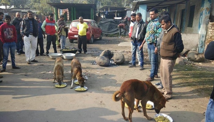  বিবেকানন্দের জন্মদিনে কুকুরদের বিরিয়ানি পিকনিক করিয়ে জীবসেবা