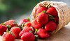 Top 10 Fruits To Eat To Lose Weight Quickly123564568905679056700