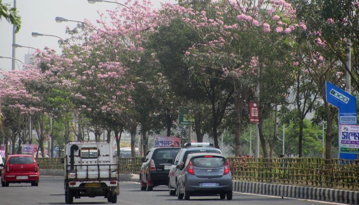 লাফিয়ে বাড়ছে তাপমান, আগামী সপ্তাহ থেকেই আগুন ঝরাতে পারে সূর্য