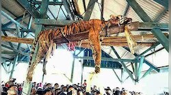 চিলেকোঠায় ঝুলছে মৃত বাঘ, নীচে কৌতূহলী জনতা