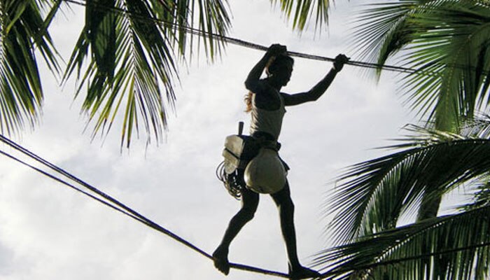 তালের রস পেড়ে মাসে রোজগার ১.২৫ লক্ষ টাকা!