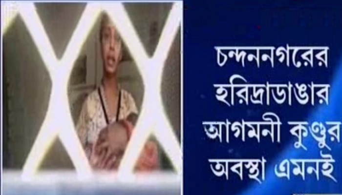 মোটা টাকা না মিলতেই শুরু বৃহন্নলাদের তাণ্ডব, ঘরবন্দি মা ও সন্তান