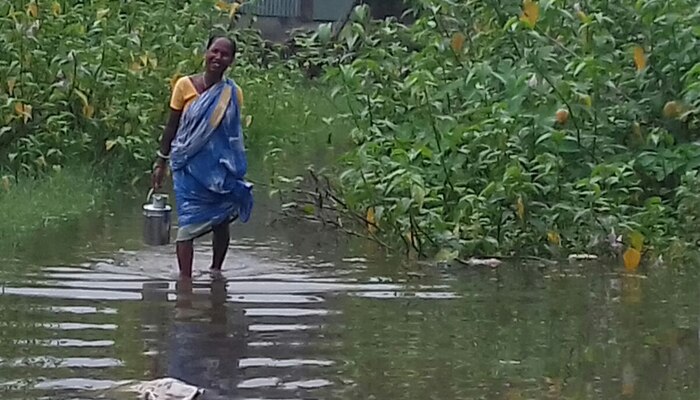 এক দিনের বৃষ্টিতেই ভাসল মালবাজার, বিপর্যস্ত উত্তরবঙ্গের জনজীবন