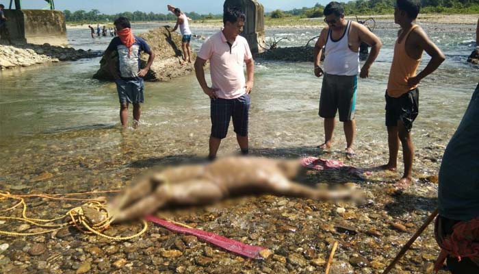 ১০ দিন পর মিলল নিখোঁজ ক্রিকেটারের দেহ