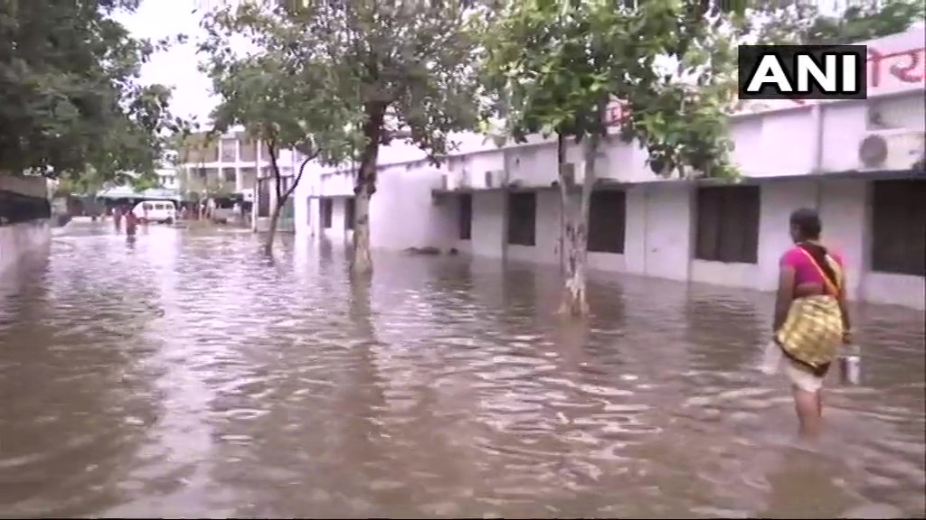 টানা বর্ষণে জলমগ্ন চারপাশ। বৃষ্টির জলে ঢুবল নালন্দা মেডিক্যাল কলেজ হাসপাতাল চত্বর। নীচের তলায় প্রতি ঘরে ঢুকেছে বৃষ্টির জমা জল। জল ঠেলে উঠেছে প্রায় জানালা প‌র্যন্ত।