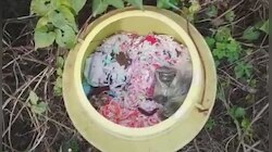 পুকুর পাড়ে তল্লাশি চালাতেই আমডাঙায় উদ্ধার 'শয়ে শয়ে' বোমা