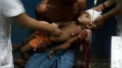 মাথায় গুলি! সংকট কাটিয়ে ধীরে ধীরে সুস্থ হয়ে উঠছে ছোট্ট মৃণাল