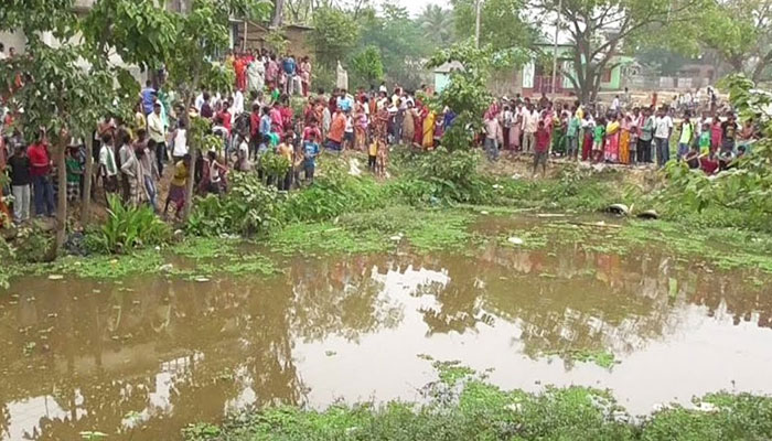 বন্ধুদের বসিয়ে টোটো চালাতে গিয়ে বিপত্তি, যাত্রী নিয়েই পুকুরে পড়ল তরুণী