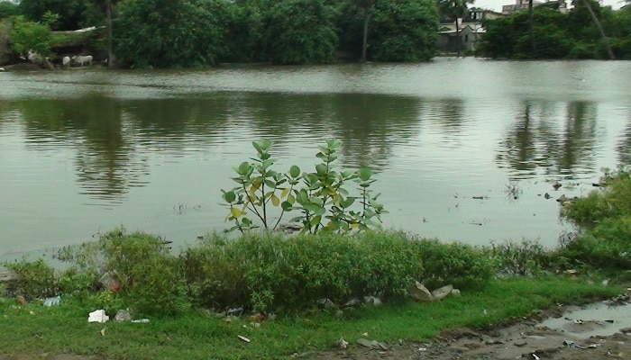 পুকুরে উদ্ধার পুরোহিতের দেহ, নিছক দুর্ঘটনা নাকি খুন?