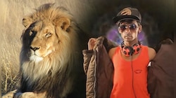 সিংহ নিয়ে ভোট লড়বেন হিরো আলম