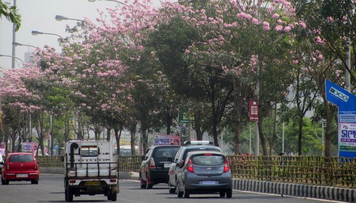 বসন্ত জাগ্রত দ্বারে, বলছে হাওয়া অফিসের পূর্বাভাস 