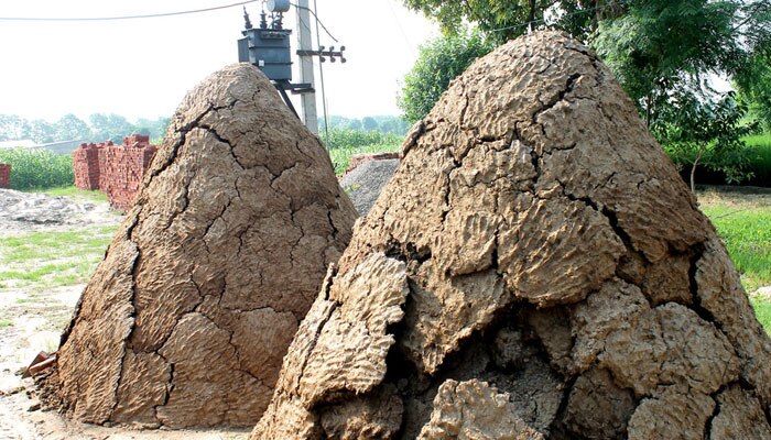 সরকারি খামার থেকে চুরি গেল লক্ষাধিক টাকার গোবর