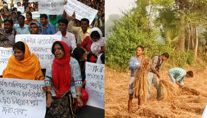 কর্মসংস্থান ও কৃষিক্ষেত্রে পশ্চিমবঙ্গের সাফল্য ভালো নয়, বলছে সমীক্ষা 