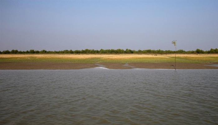 নির্জন, বন্যাপ্রবণ দ্বীপে রোহিঙ্গারা