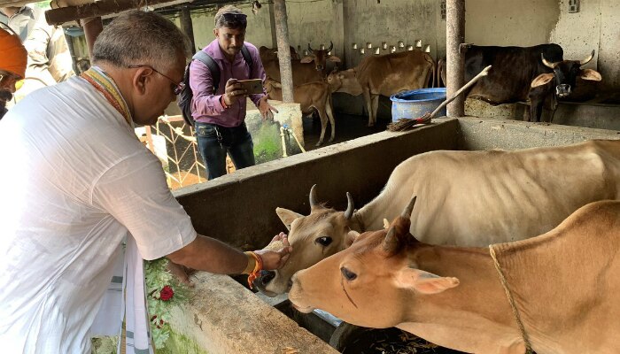 গরুকে ছোটবেলা থেকে শ্রদ্ধাভক্তি করছি, দিলীপের পাশে সায়ন্তন