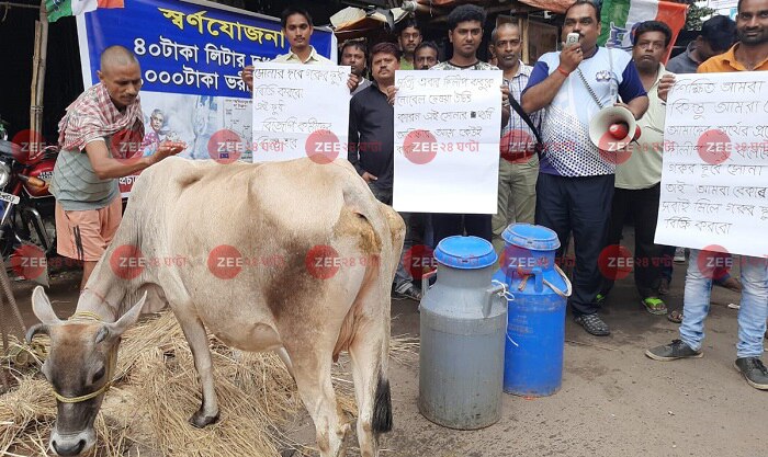 দুধে সোনা থাকলে, ৪০ হাজার টাকা দরেই দুধ কিনুক বিজেপি নেতারা! দাবি তৃণমূলের