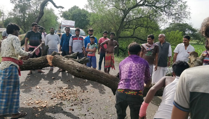 ঘূর্ণিঝড় বুলবুলের বলি ৯, ঝড়ের দাপটে লণ্ডভণ্ড দক্ষিণবঙ্গের বিস্তীর্ণ এলাকা