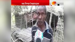 ভোটার কার্ড, আধার কার্ড খেয়ে গেল হাতি