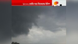 ভরা মাঘে ১২০০ টাকা কেজি দরে মিলছে পদ্মাপারের ইলিশ