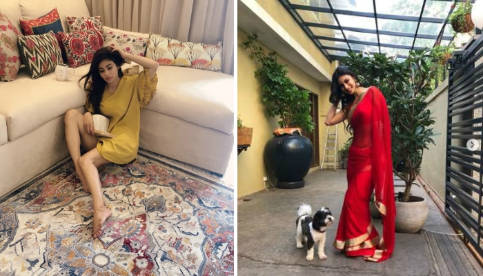 Mouni Roy’s House Is Not Less Than Any 5 Star Hotel, See Pics | বাঙালি