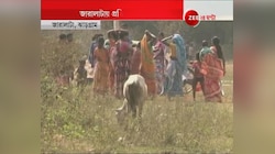 জীবনযুদ্ধে একা লড়াই করাই একমাত্র পথ ঝাড়গ্রামের জারালাটার শবরদের