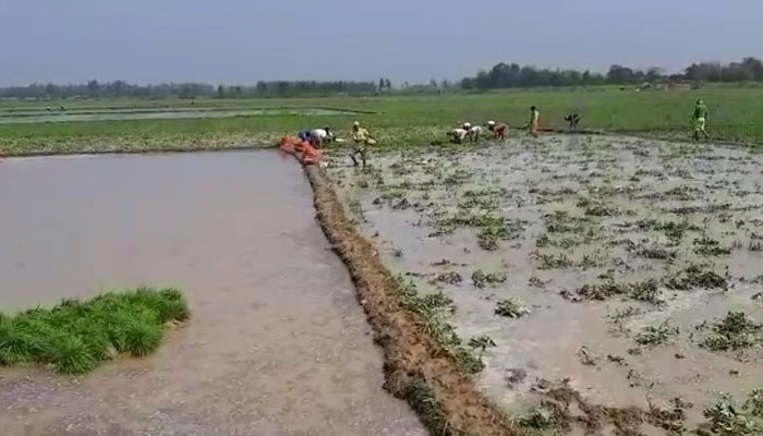 অকাল বৃষ্টিতে ভাসছে রাজ্য, ব্যাপক ক্ষতির আশঙ্কায় আলু চাষীরা