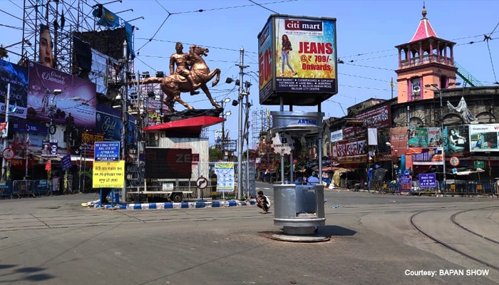 শ্যামবাজারে সজারু, উল্টোডাঙায় উল্লুক, পার্ক স্ট্রিটে প্যাঙ্গোলিন! সত্যি সত্যি সত্যি