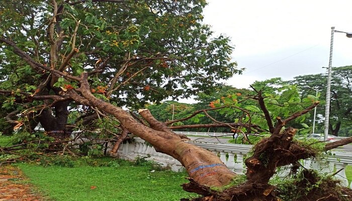 ভোররাতের প্রবল বৃষ্টিতে ভাসল কলকাতা, রবিবার পর্যন্ত রোজই কালবৈশাখীর পূর্বাভাস