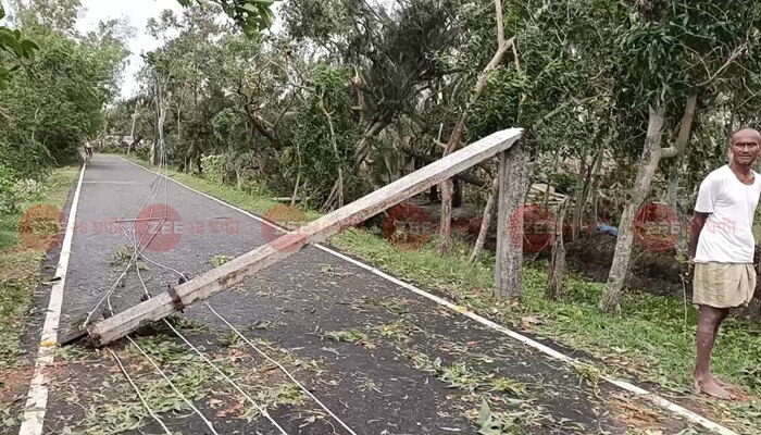 রাস্তায় সারি সারি পোস্টের &#039;লাশ&#039;! অন্ধকার ঘনালেই যেন ‘শশ্মানপুরী’ সুন্দরবন