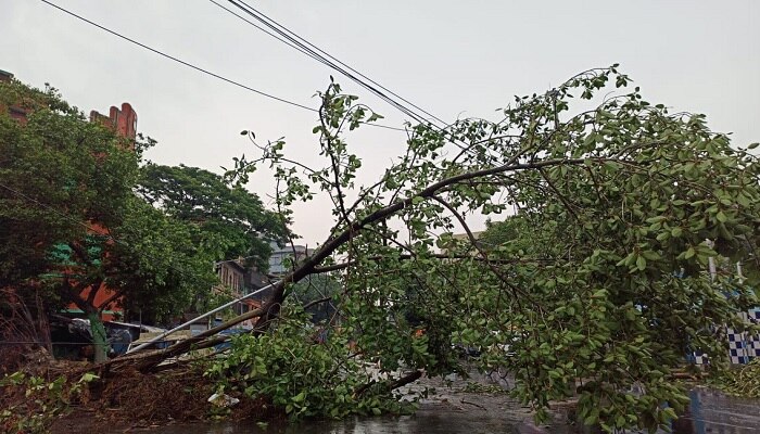 আমফানের এক সপ্তাহ কাটার আগেই প্রাকবর্ষার ঝড়বৃষ্টিতে নাজেহাল বাংলা, আহত বহু