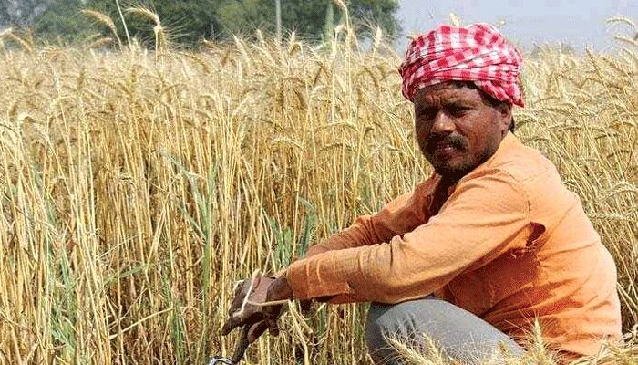 উপকৃত হবেন কৃষকরা, অত্যাবশকীয় পণ্য আইন সংশোধনে সবুজ সংকেত কেন্দ্রীয় মন্ত্রিসভার