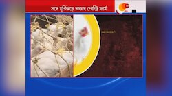 হঠাত্ই হু-হু করে দাম বাড়ছে CHICKEN-এর, কেন ২৫০-৩০০ টাকা প্রতি কিলো দাম হল POULTRY-এর?