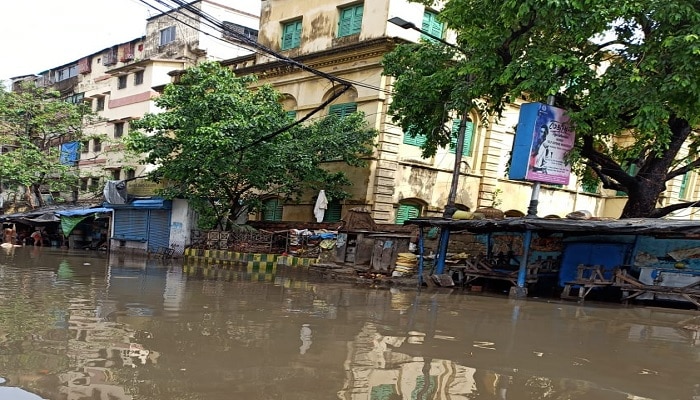 রবিবার গরম অনুভূত হবে না তেমন, কোন জেলায় ভারি বৃষ্টি? জেনে নিন পূর্বাভাস