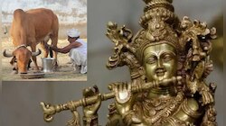 ''আমরা শ্রীকৃষ্ণের বংশধর, তাই দুধ কাউকে বিক্রি করি না'', বলছেন এই গ্রামের লোক