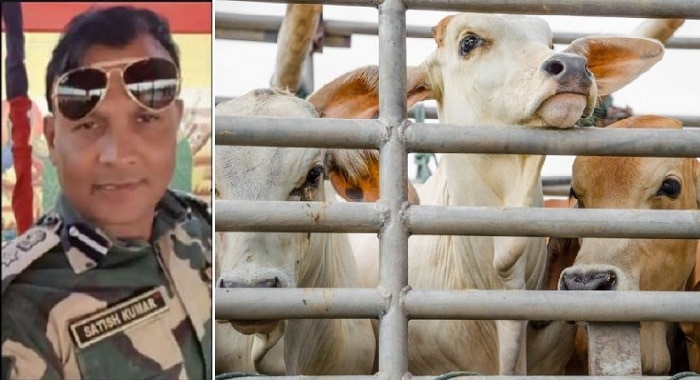 Cow Smuggling : শর্তসাপেক্ষে জামিন মঞ্জুর ধৃত BSF কম্যান্ড্যান্ট সতীশ কুমারের