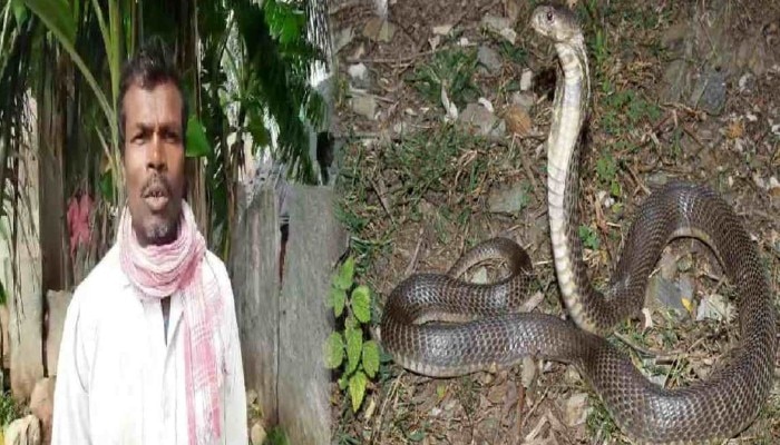 ৩২ বছরে ৭২ বার Cobra-র কামড় খেয়েছেন এই ব্যক্তি! সাপ (Snake) কি প্রতিশোধ নেয়?